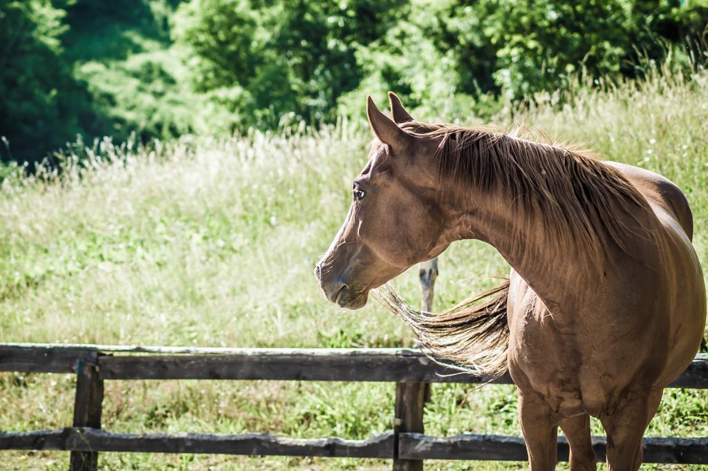 Agriturismo Cascina Del Vai Cairo Montenotte Zewnętrze zdjęcie