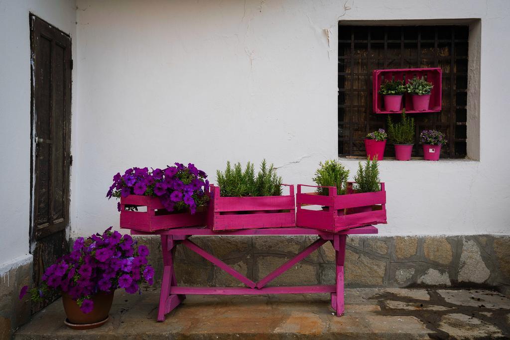 Agriturismo Cascina Del Vai Cairo Montenotte Zewnętrze zdjęcie