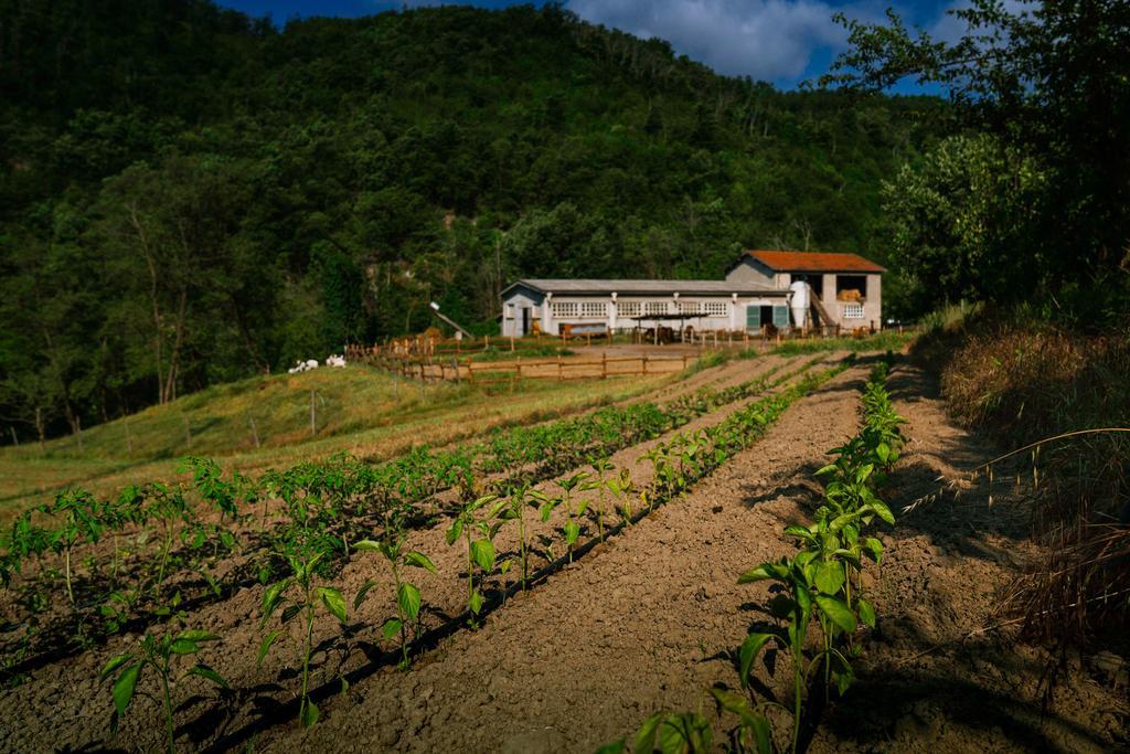 Agriturismo Cascina Del Vai Cairo Montenotte Zewnętrze zdjęcie
